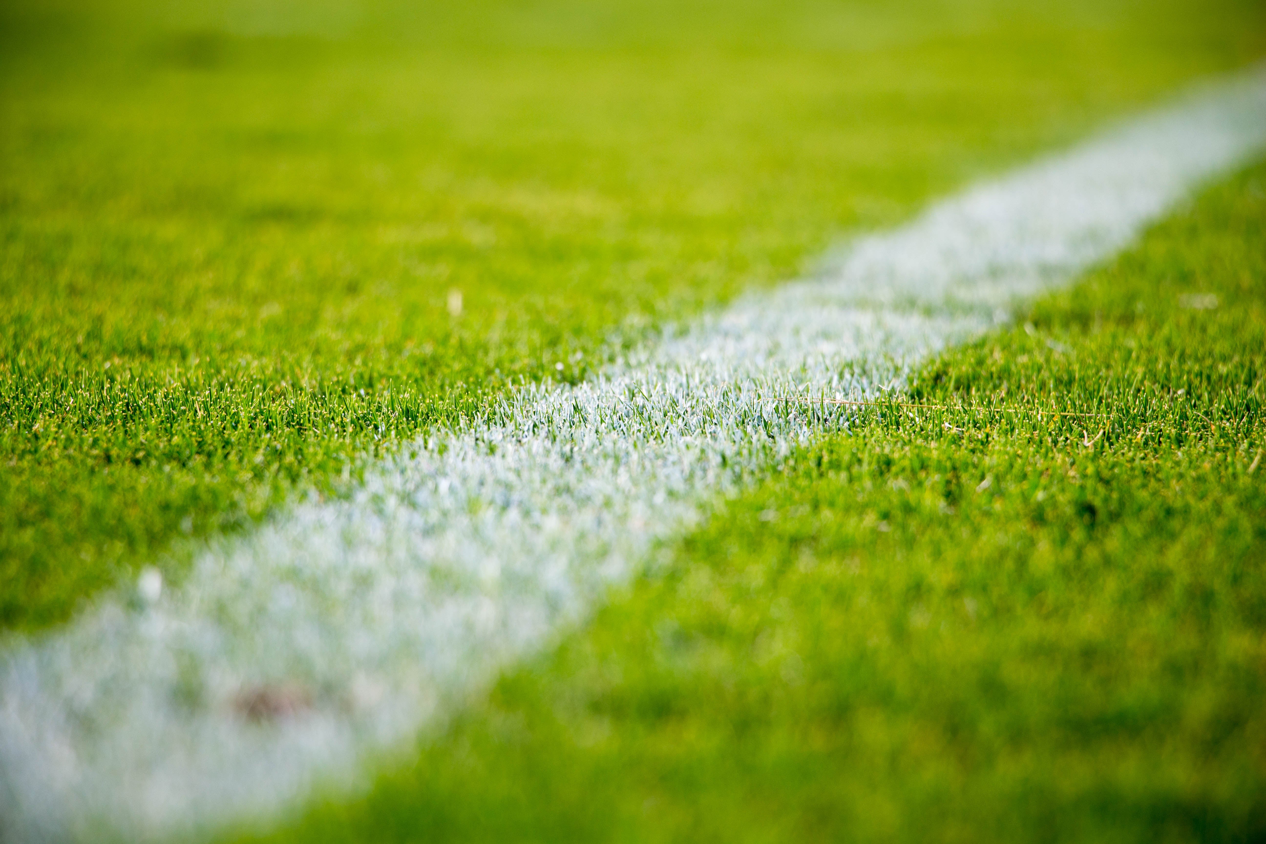 close up of a white line on green grass in a soccer field